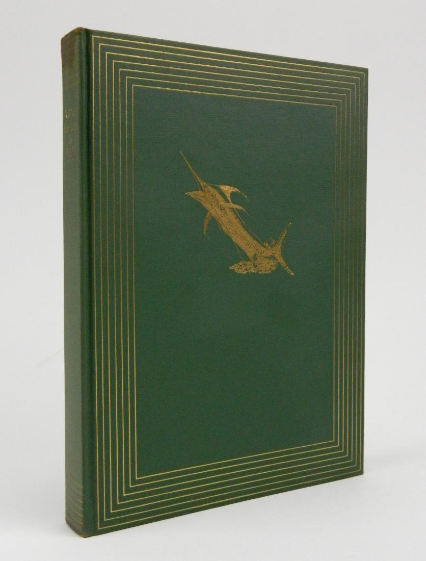 Bandini- Veiled Horizon (1 of 6)