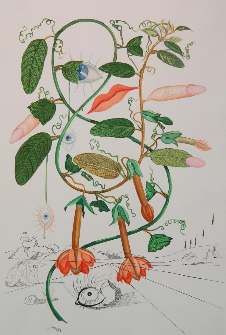 Salvador Dali lithograph (1 of 4)