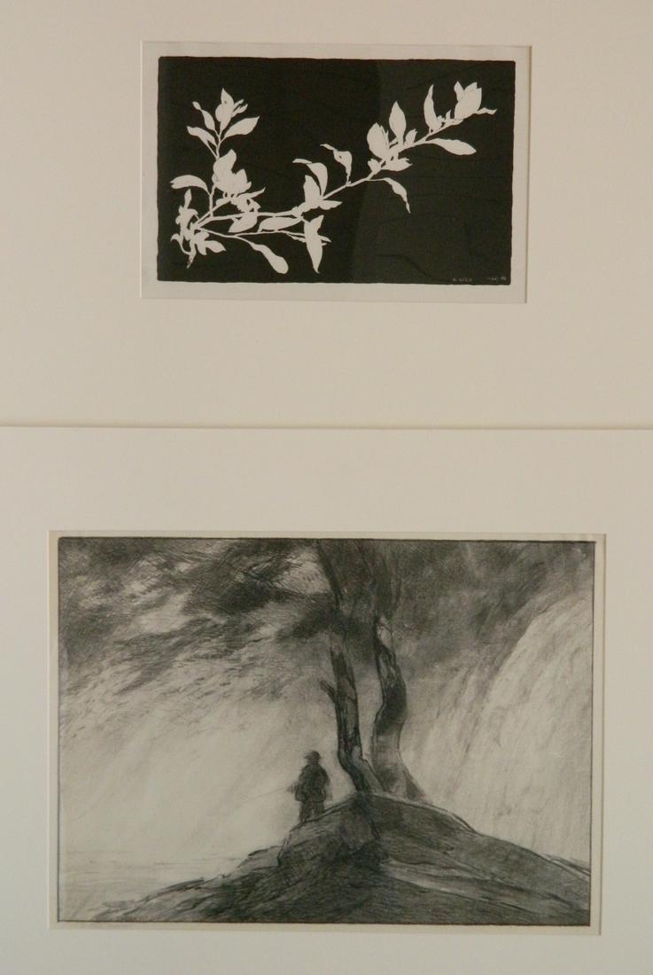 Bolton Brown 2 lithographs: Bolton Brown (American 1864-1936)- ''A Weed'' (Brown 528); ''Below the Falls'' (B. 574A)- 2 lithographs, 1924, 1924-25, 'Below..' signed in pencil. 5 3/4 x 9 1/8''; 10 x 13 7/8''