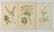 11 Botanical prints - 5