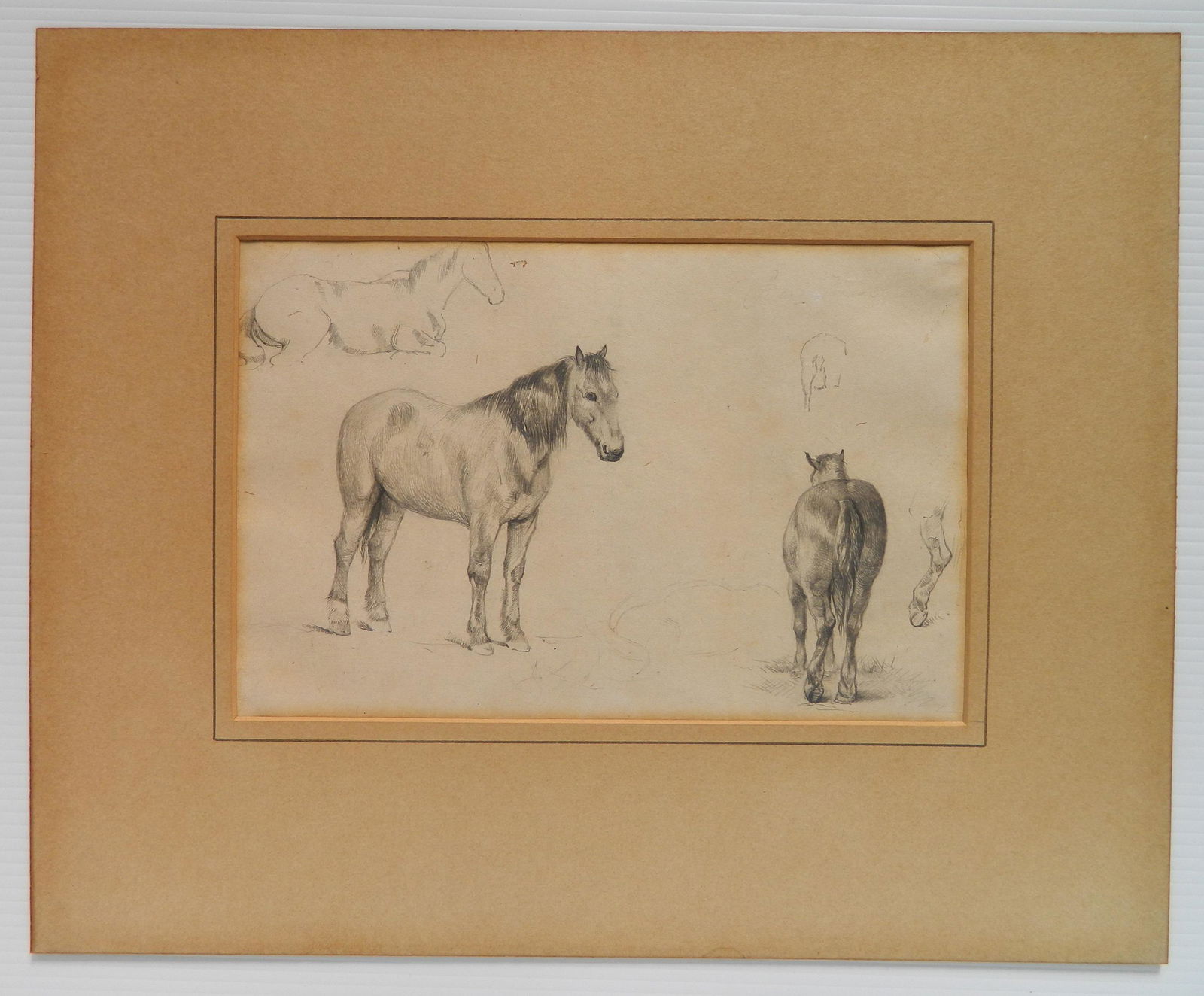 6 Arthur Stark pencil drawings: Arthur James Stark (British 1831-1902)- Animal Studies- 6 pencil on paper, paper light struck. 6 x 8 3/4'' (largest)