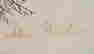 item-80953981=3