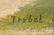 Otto Trubel oil - 3