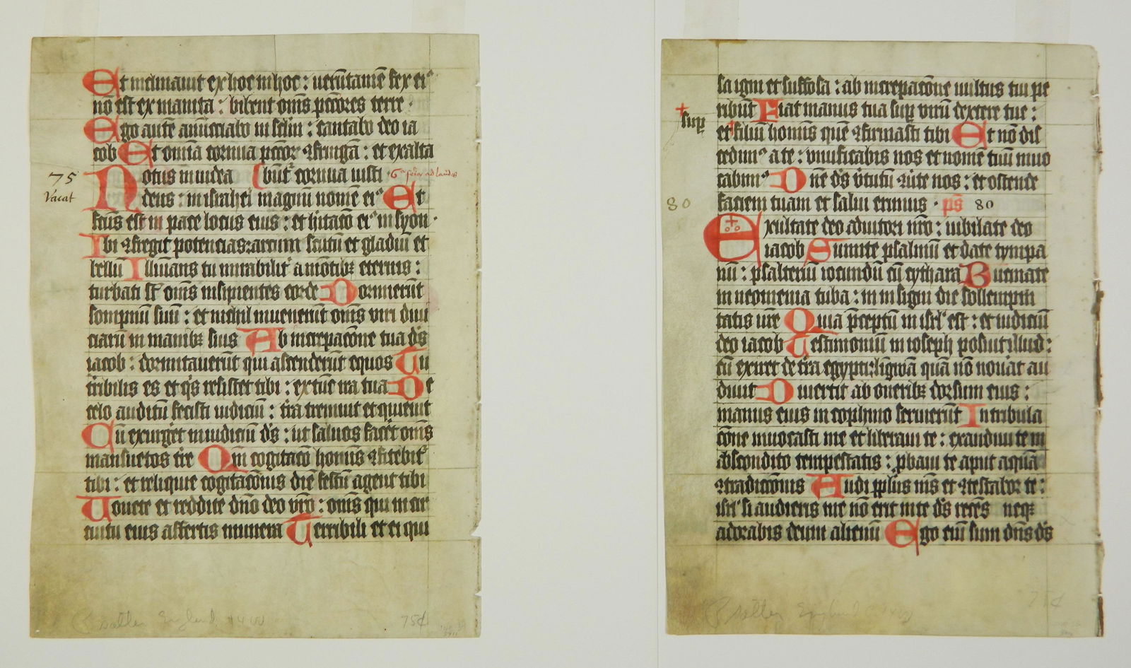 2 Sheets from a psalter (1 of 5)