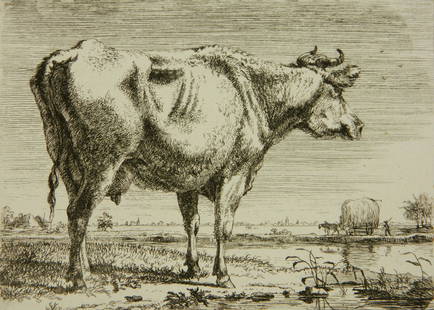 after Paulus Potter etching: after Paulus Potter (Dutch 1625-1654)- ''Stier''- etching. 4 3/4 x 6 5/8''