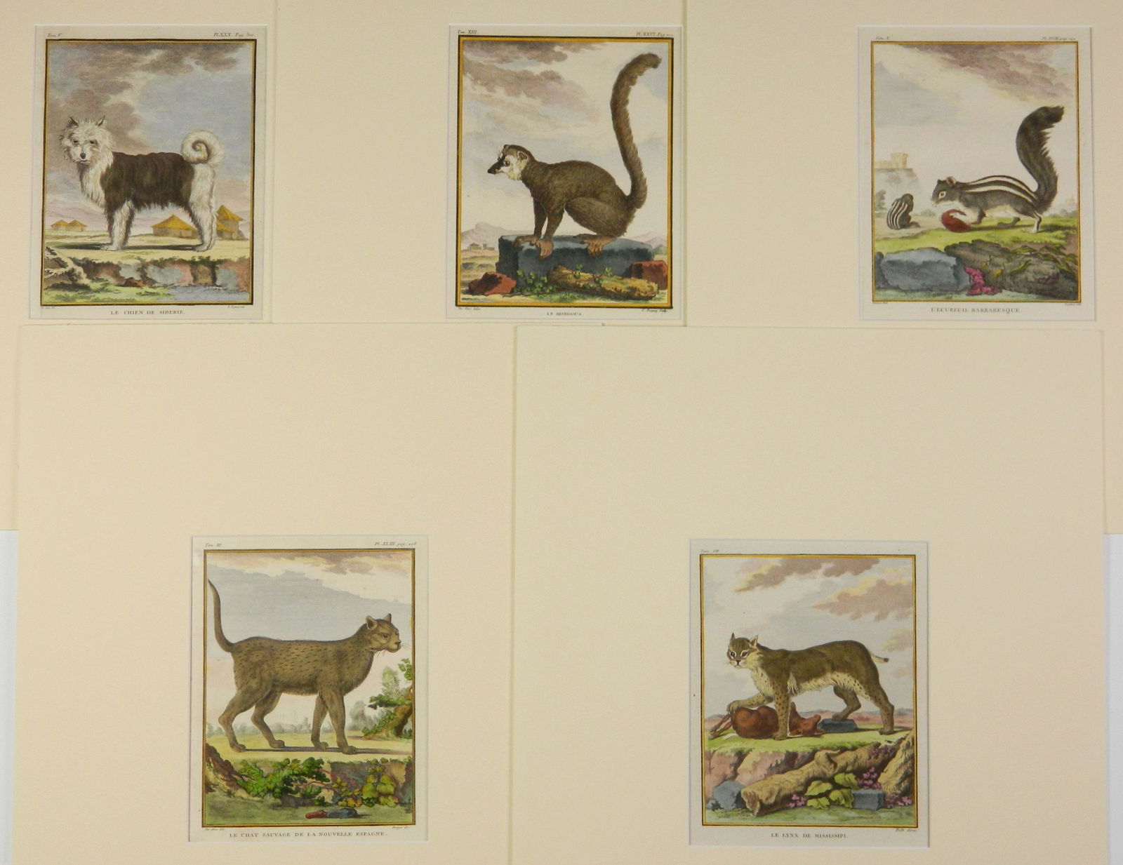 after Jacques E. de Seve 5 etchings and engravings (1 of 6)