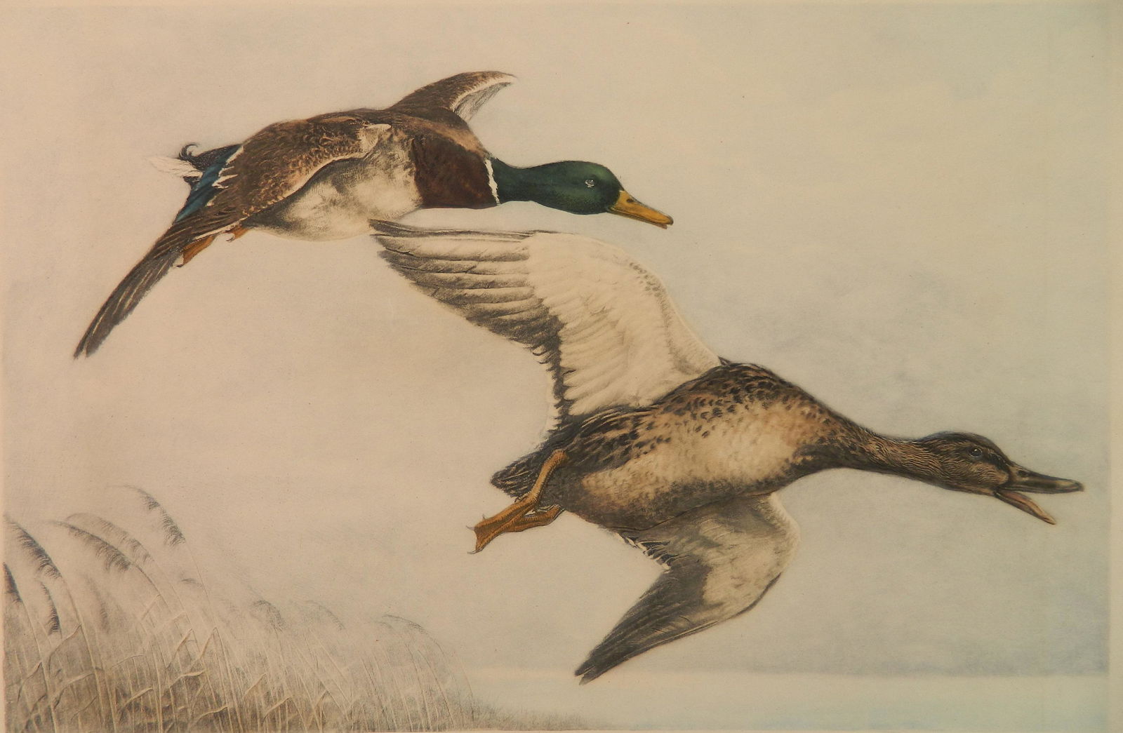 Leon Danchin etching: Leon Danchin (American 1887-1938)- ''Canards Sauvages''- etching in colors, signed in pencil. 15 x 22 1/2''