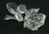 6 Swarovski crystal figurines - 5