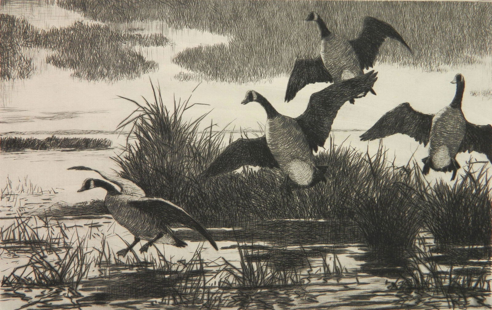 Aiden Lassell Ripley etching (1 of 5)