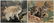 2 Charles Frace off-set lithographs
