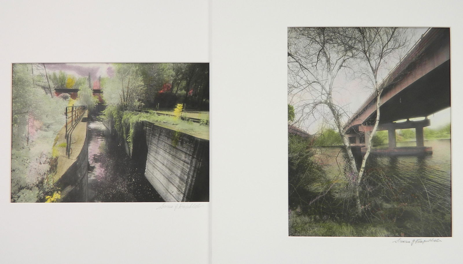 2 Simona Frajndlich photographs (1 of 5)