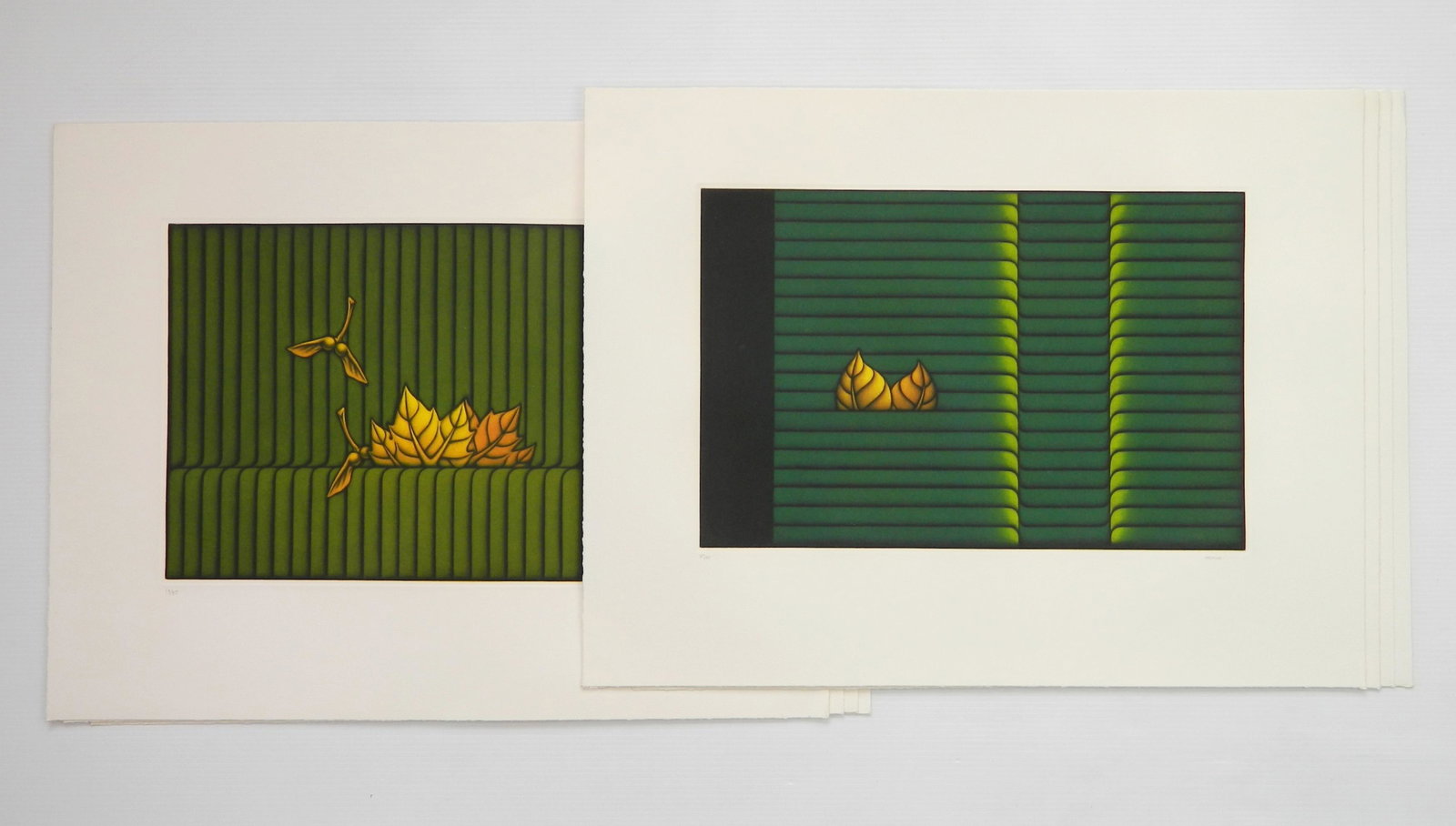 8 Kazuhisa Honda mezzotints: Kazuhisa Honda (Japanese 1948- )- ''Park''; ''Two Leaves''- 8 mezzotints in color, all signed and numbered in pencil, editions of 85 and 95, some minor soiling in margins. 11 5/8 x 17 1/2'' ea.