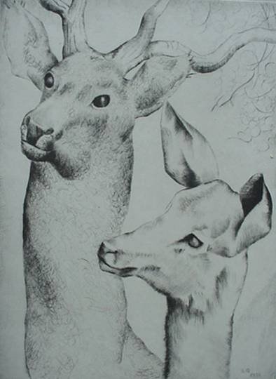 Luis Quintanilla- ''Deer and Fawn'', etching, 1939