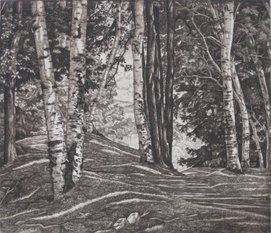 Luigi Lucioni etching: Luigi Lucioni- ''Through The Birches'' (Embury 154)- etching, 1972 signed and numbered 75/250 in pencil, AAA publication. 8 1/2 x 9 7/8''