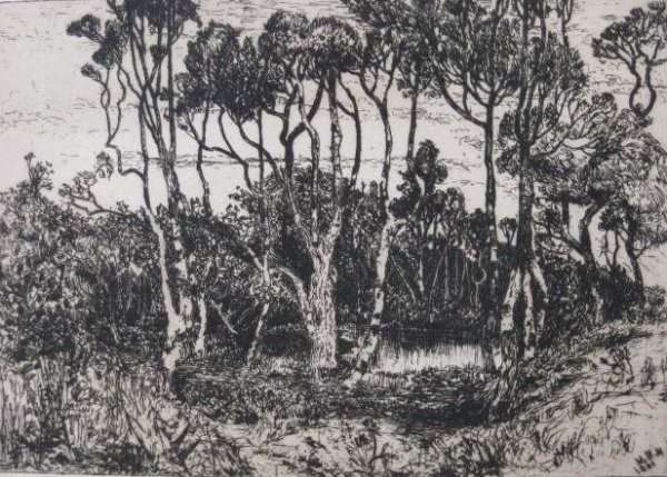 Mary Nimmo Moran etching: Mary Nimmo Moran- ''Solitude'' (Klackner 9)- etching, 1880, minor foxing and some stains in margins, paper slightly age toned, corner creased upper left. 5 3/8 x 7 1/2''