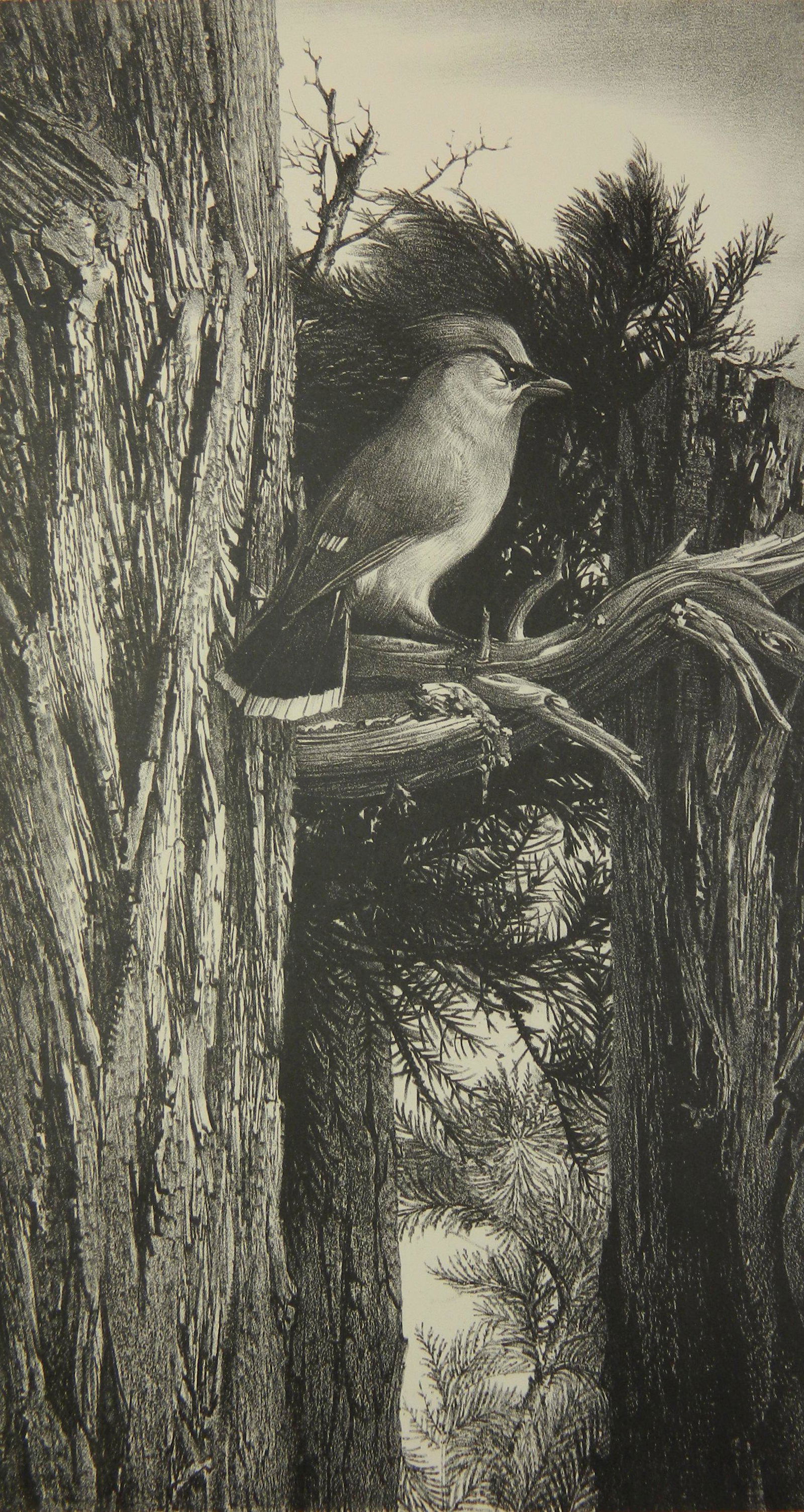 Stow Wengenroth lithograph (1 of 4)