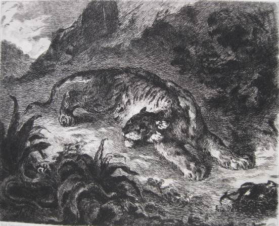 after Eugene Delacroix etching: after Eugene Delacroix- ''Tigre Surpris Par Un Serpent''- etching, very good condition. 5 3/8 x 6 5/8''