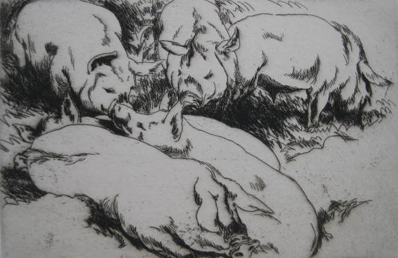 Henry G. Keller etching: Henry G. Keller- ''Pig Study No. 2''- etching, signed in pencil, very good condition. 5 1/4 x 7 3/4''