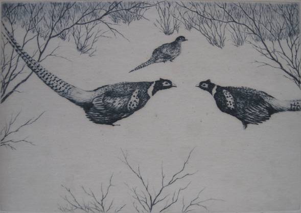 Hans Kleiber etching: Hans Kleiber- ''Fighting Pheasants''- etching, 1949, signed and titled in pencil, light struck and mat burn, minor foxing, paper tape around 4 edges verso. 8 1/4 x 11 3/4''
