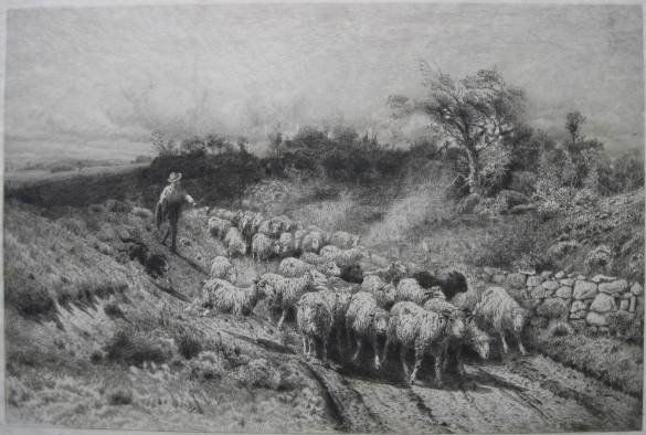 Peter Moran etching: Peter Moran- Bringing In The Herd- etching, signed in pencil, stamped inventory number A10487 in blue, with a remarque, severe staining, smudges and creases in margins. 12 3/8 x 18 3/4''