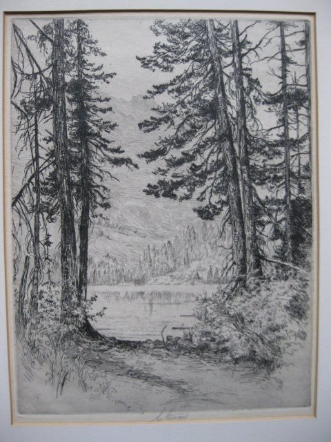 Lee Sturges etching: Lee Sturges- Woodland Scene- etching, signed in pencil, Chicago Society of Etchers blindstamp, light struck and mat stain, taped to top mat with old masking tape, cardboard stain verso. 10 3/4 x 8 1/8