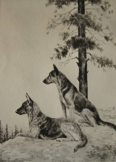 Marguerite Kirmse etching: Marguerite Kirmse (American 1885-1954)- ''Vigilantes''- etching, signed and titled in pencil, slightly light struck and 2 old paper tape hinges, otherwise very good condition. 10 1/2 x 7 1/2'' 26.7 x 
