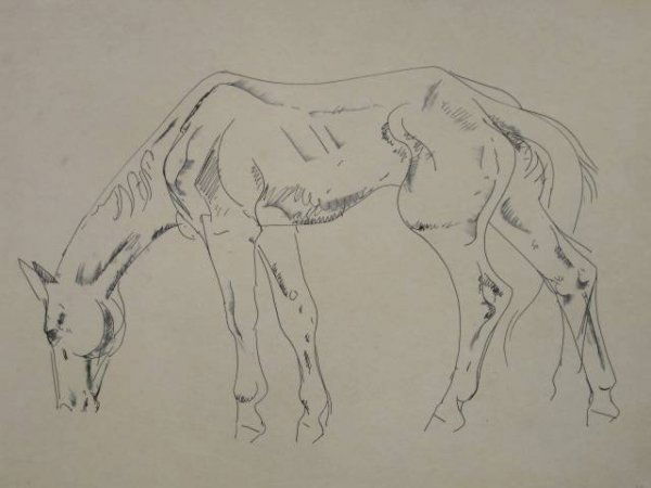 William Sommer pen and ink: William Sommer (American 1867-1949)- Horse- pen and ink, signed Wm. Sommer- lower right, very good condition. 9 x 13 1/2'' 22.9 x 34.3cm