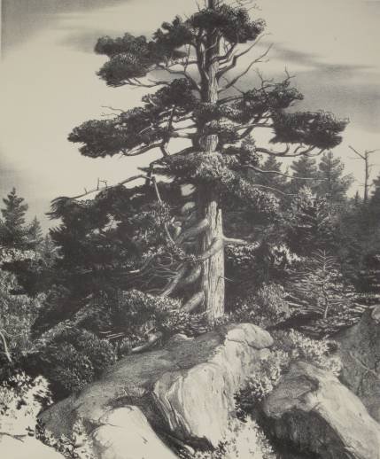 Stow Wengenroth lithograph: Stow Wengenroth- ''The Landmark'' (Stuckey 152)- lithograph, 19436, signed and annotated 'Ed./60' in pencil, very good condition. 16 11/16 c 13 13/16'' 42.4 x 35.1 cm