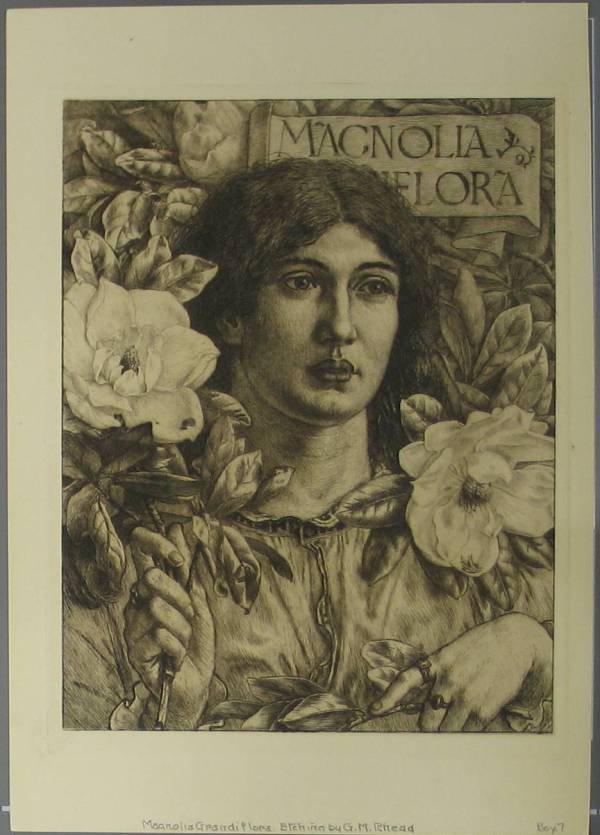 19th c. European School 21 prints - 3