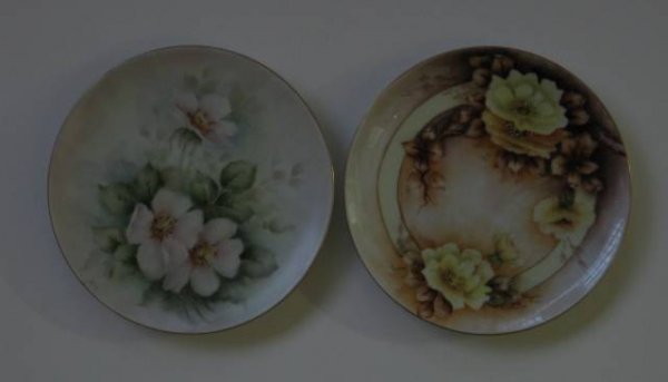 H. Litkovitz two hand-painted porcelain plates: Two hand-painted porcelain plates by Helen Litkovitz- 1 decorated with pink roses; 1 decorated with yellow and brown roses; both have gilt edges, both signed on front, 1 plate also signed on bottom, p
