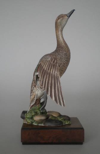 Royal Worcester porcelain bird: Royal Worcester porcelain figurine- ''American Pintail''- modeled by Ronald Van Ruyckevelt, 1970, very good condition. 12 3/4''h 13 1/2'' w