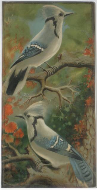 19th c. American School 2 prints & 1 watercolor