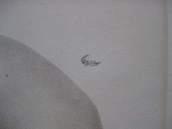 John Tate lithograph - 3