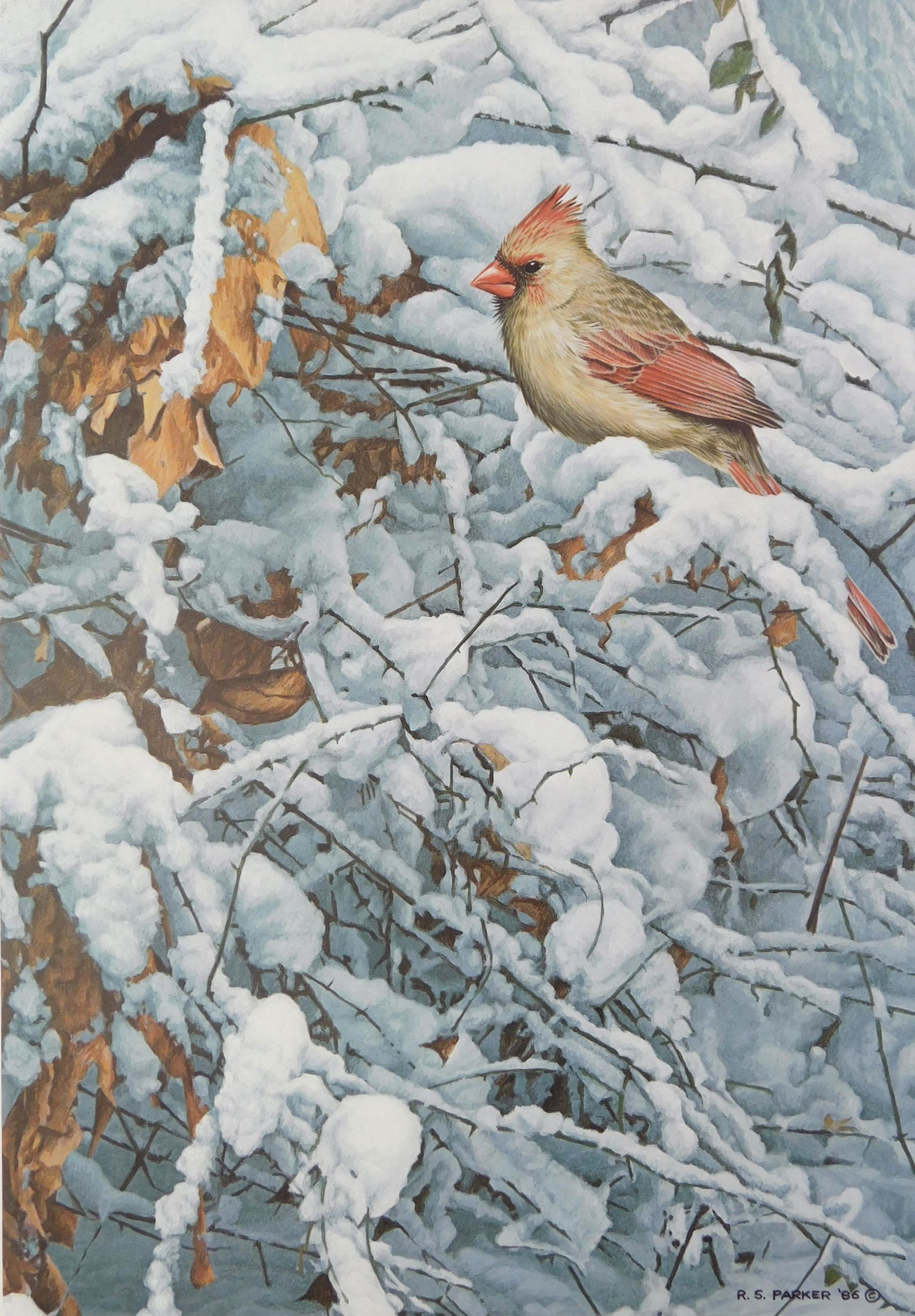 Ronald S. Parker print (1 of 3)