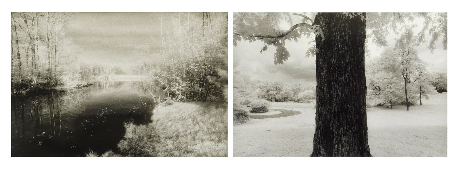 Abe Frajndlich 2 infra red photographs (1 of 9)