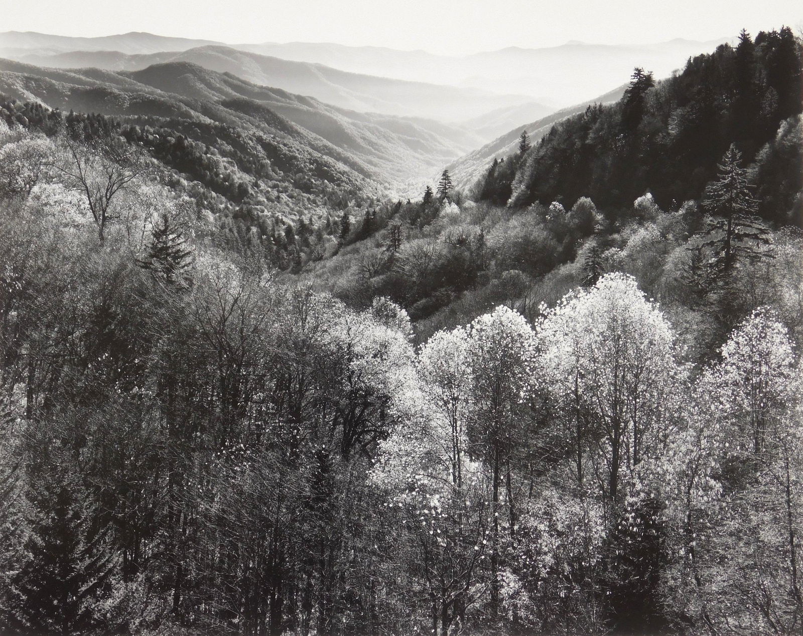 John Ward photograph (1 of 4)