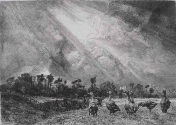Felix Bracquemond etching and drypoint: Felix Bracquemond (French 1833-1914)- ''La Nuce d'Orage'' (Beraldi 219)- etching and drypoint on laid paper, 1879, signed in pencil, artist monogram stamped lower left, paper watermarked 'MBM', very s