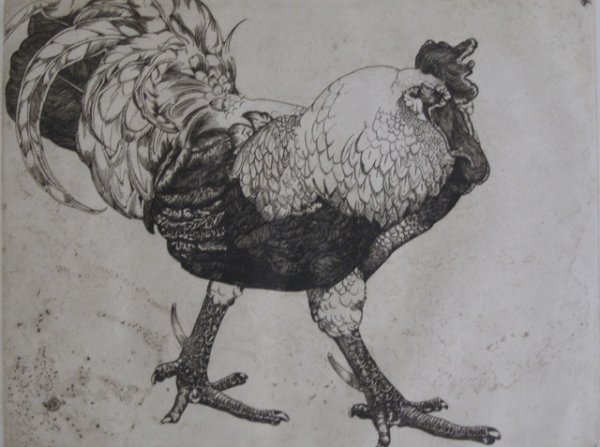 Edward Detmold etching: Edward J. Detmold (British 1883-1957)- ''The Cock'' (Dodgson 56)- etching, 1900, signed in pencil, two masking tapes. 8 « x 11'' 216 x 279 mm