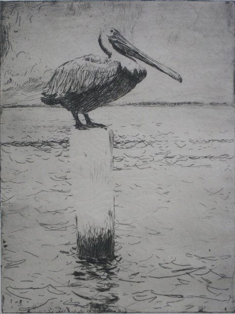 Frank Benson etching: Frank W. Benson (American 1862-1951)- ''Brown Pelican'' (Paff 48)- etching, 1915, signed and numbered 10/50 in pencil, edition of 50, slightly light struck, this study was made at Long Key, Florida. 7