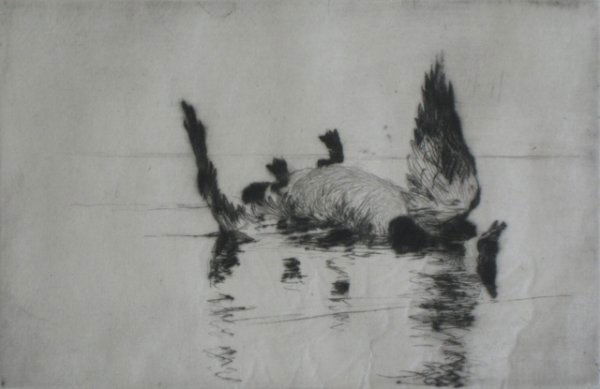 Frank Benson drypoint: Frank W. Benson (American 1862-1951)- ''Dead Goose'' (Paff 83)- drypoint, 1915, signed in pencil, edition of 428, some minor soiling in margins. 4 x 6'' 102 x 152 mm