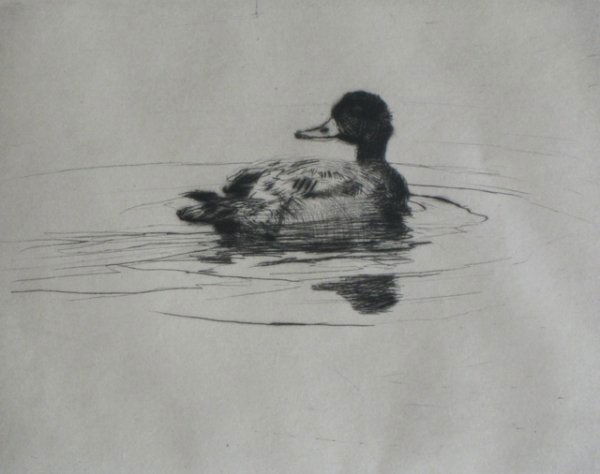 Frank Benson drypoint: Frank W. Benson (American 1862-1951)- ''Single Duck'' (Paff 123)- drypoint, 1917, signed in pencil, edition of 95, very good condition. 4 x 5 ¬'' 102 x 133 mm