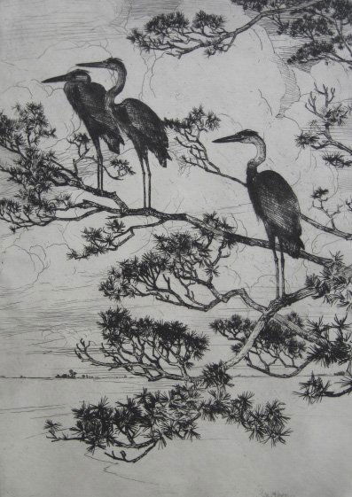 Frank Benson etching: Frank W. Benson (American 1862-1951)- ''Herons in A Pine Tree'' (Paff 129)- etching, 1918, signed in pencil, edition of 50, very good condition. 13 7/8 x 9 7/8'' 352 x 251 mm