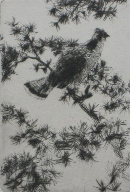 Frank Benson drypoint: Frank W. Benson (American 1862-1951)- ''Grouse in Pine'' (Paff 176)- drypoint, 1920, signed in pencil, edition of 150, very good condition. 3 x 2'' 76 x 51 mm