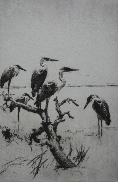 Frank Benson etching: Frank W. Benson (American 1862-1951)- ''Herons at Rest'' (Paff 219)- etching, 1923, signed in pencil, edition of 150, two masking tape hinges along top edge, otherwise very good condition. 11 7/8 x 7