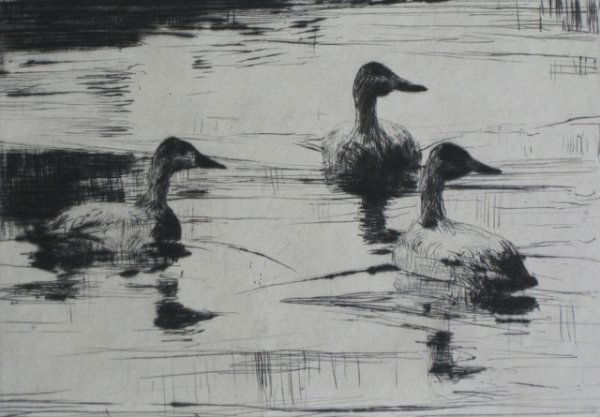 Frank Benson drypoint: Frank W. Benson (American 1862-1951)- ''Alert'' (Paff 242)- drypoint, 1925, signed in pencil, edition of 150, very good condition. 4 7/8 x 7'' 124 x 178 mm