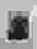 item-7115136=2