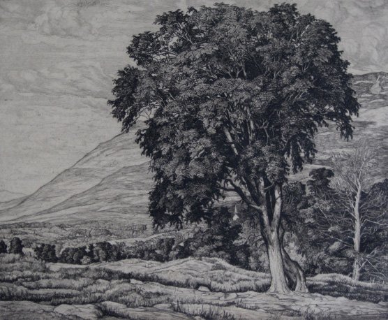 Luigi Lucioni etching: Luigi Lucioni (American 1900-1988)- ''Peace In The Valley'' (Embury 71)- etching, 1940, signed in pencil, published by AAA in 1941 in an edition of 194, slightly light struck, one spot of foxing verso