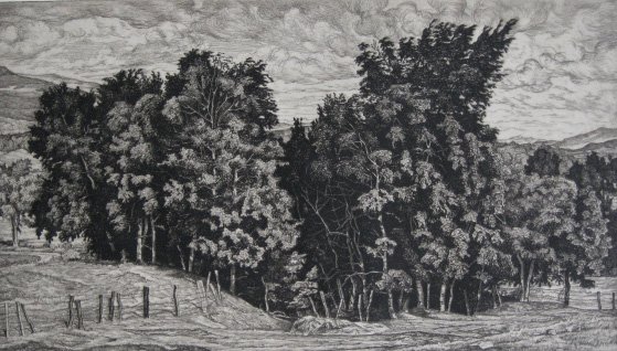 Luigi Lucioni etching: Luigi Lucioni (American 1900-1988)- ''Birch Group'' (Embury 90)- etching, 1944, signed in pencil, published by AAA in 1945 in an edition of 250, very good condition. 7 x 12 1/8'' 175 x 310 mm