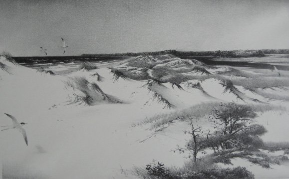 Stow Wengenroth lithograph: Stow Wengenroth (American 1906-1978)- ''Dunes and Terns'' (Stuckey 241)- lithograph, 1957, signed and annotated 'Ed./50' in pencil, very good condition. 8 5/8 x 13 7/8'' 219 x 352 mm