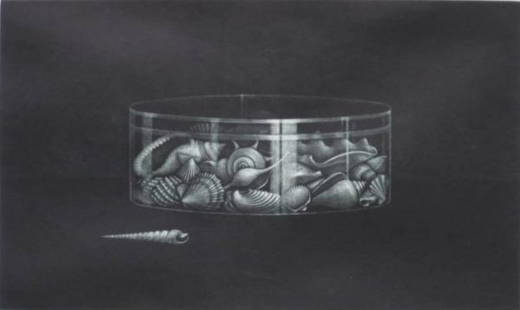 Nobuo Satoh mezzotint: Nobuo Satoh- ''Shells Placed In A Box''- mezzotint, 1971, signed, titled, dated and numbered 46/75 in pencil, slight mat burn, slightly light struck. 8 1/2 x 14''